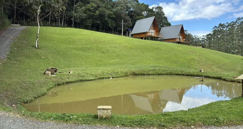 Sítio urbano de 15.000 m² no testo salto, com casa, chalés e renda extra!