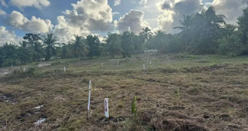 Terreno à venda no Porto de Sauipe, Entre Rios 
