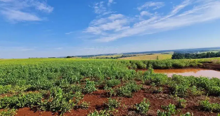 Chácara / sítio à venda no São Luiz, Londrina 