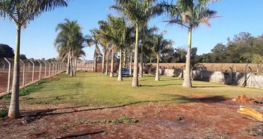 Chácara / sítio à venda no Gleba Fazenda Palhano, Londrina 