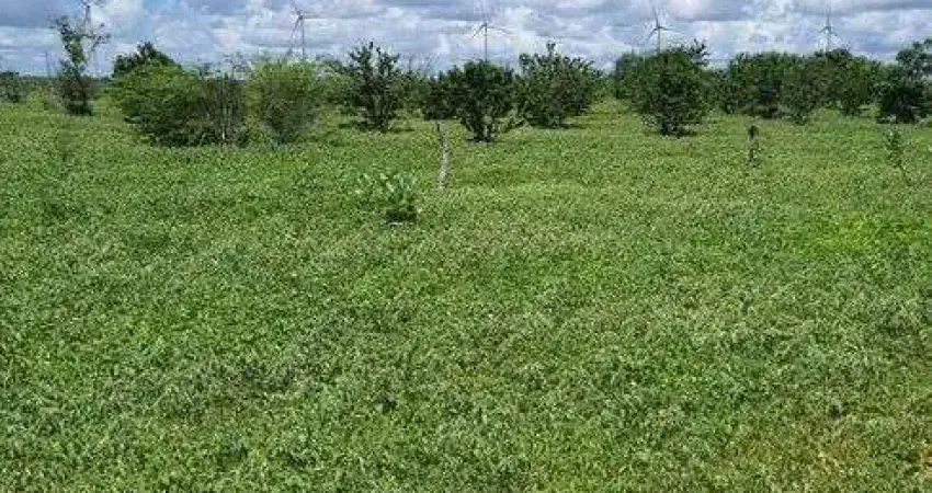Linda Fazenda com 45 hectares em jandaira com 2 poços tubulares 100% plana