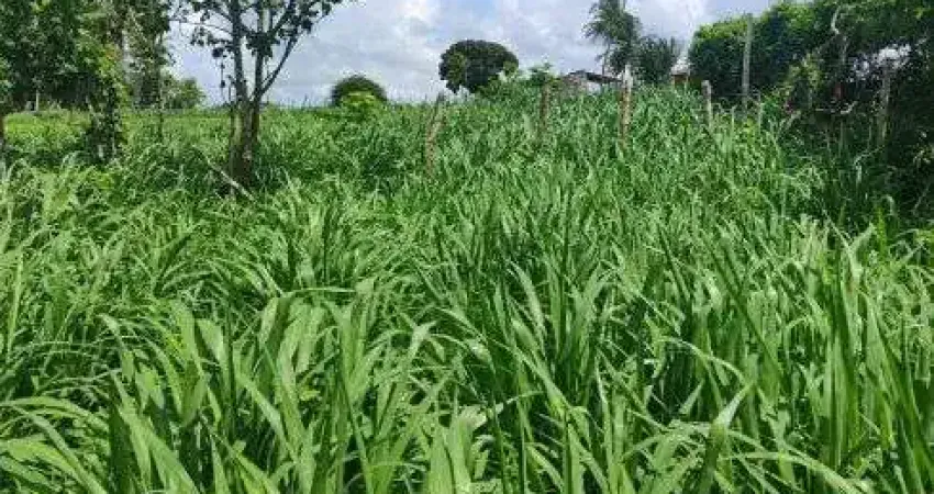 granja com 17 hectares bem localizada entre Parnamirim e Monte Alegre