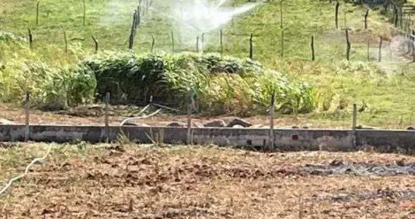 granja com 1.3 hectares bem localizada e estruturada em Jucurutu boa de água