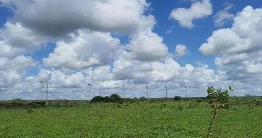 Ótima Fazenda com 45 hectares em jandaira com 2 poços tubulares 100% plana
