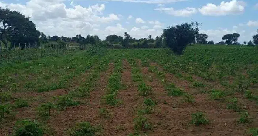 Excelente Granja com 6 hectares no cobe município de Vera Cruz