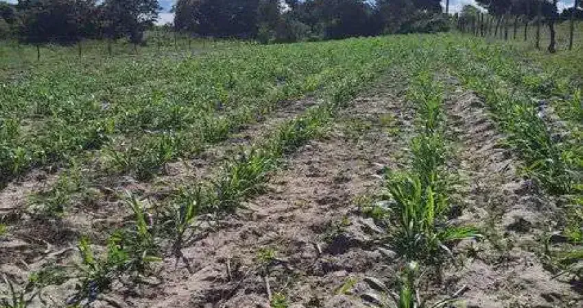 Fazenda/Sítio/Chácara para venda possui 27800 metros quadrados com 3 quartos