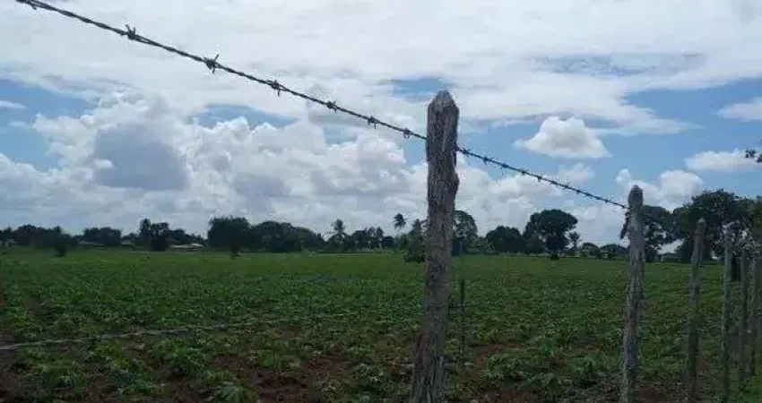 Excelente Granja com 6 hectares no cobe município de vera cruz