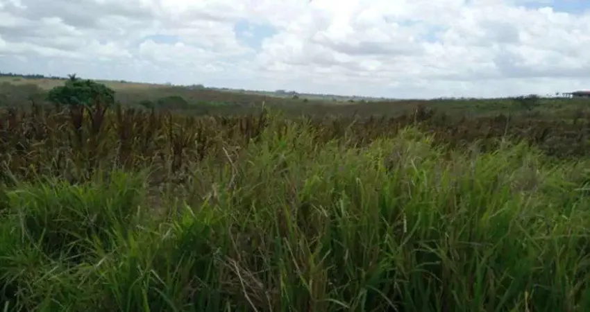 Ótima Fazendinha 11.5 Hc. top de luxo na região de Monte Alegre