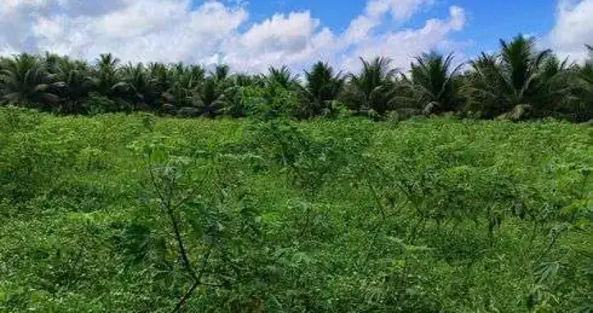 Fazenda Chácara para venda tem 4000 metros quadrados um poço tubular irrigação energia trifásica