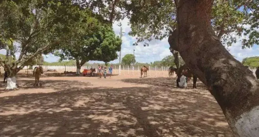haras com 2.7 hectares na região de Macaíba bastante estruturada 100% murada