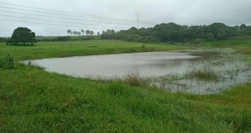 Otima Granja com 11 hectares na região de Monte Alegre estruturada