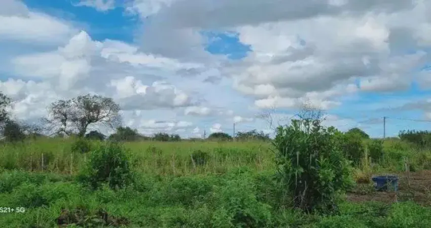 Chácara / sítio com 4 quartos à venda no Centro, Macaíba 