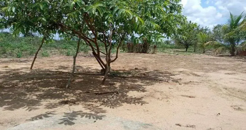 Chácara / sítio com 3 quartos à venda no Centro, Vera Cruz 