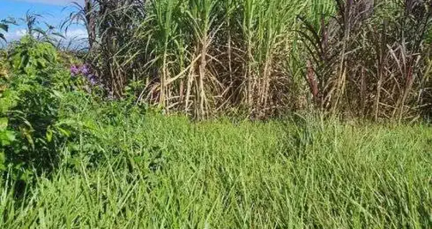 Otima Fazenda com 27.8 hectares na região de macaiba