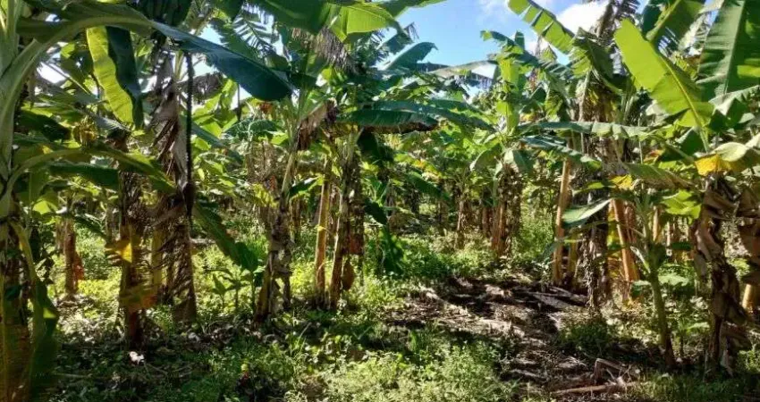 granja com 23,7 hectares em punau terra excelente para plantação e criação