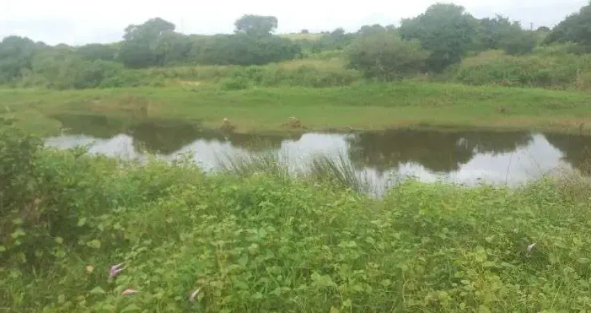 granja casa m 12 hectares na região de Monte Alegre