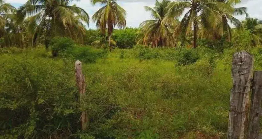 Chácara / sítio com 2 quartos à venda no Centro, Ceará-Mirim 
