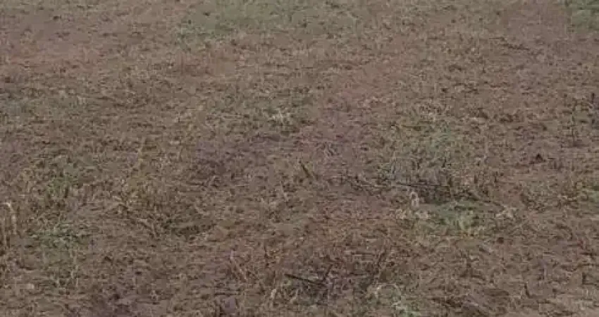 Chácara / sítio com 3 quartos à venda no Centro, Monte Alegre 