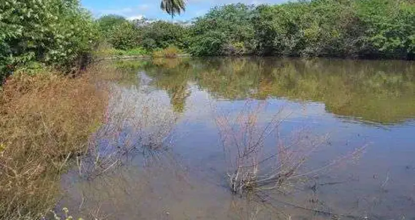 Chácara / sítio com 3 quartos à venda no Centro, Macaíba 