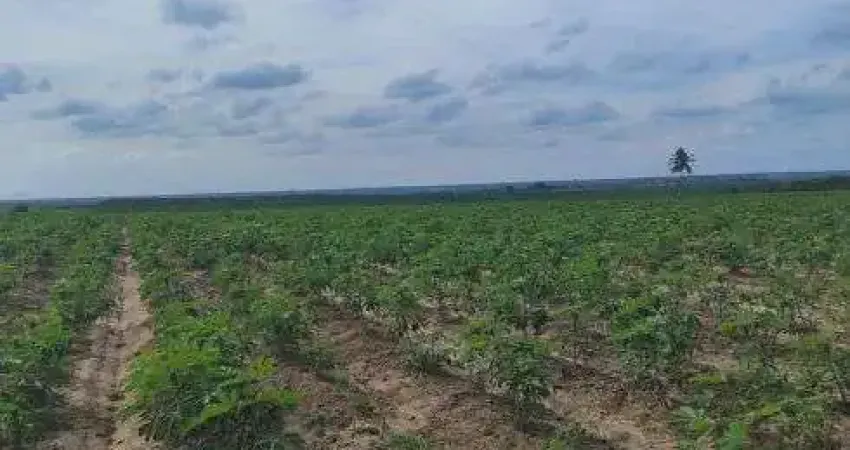 Excelente fazenda com 41 hectares na região de Macaíba próximo a cana brava