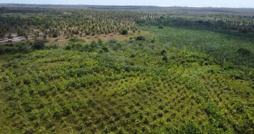 fazenda com 379 hectares na região de rio do fogo cortada por rio perene e pela BR 101