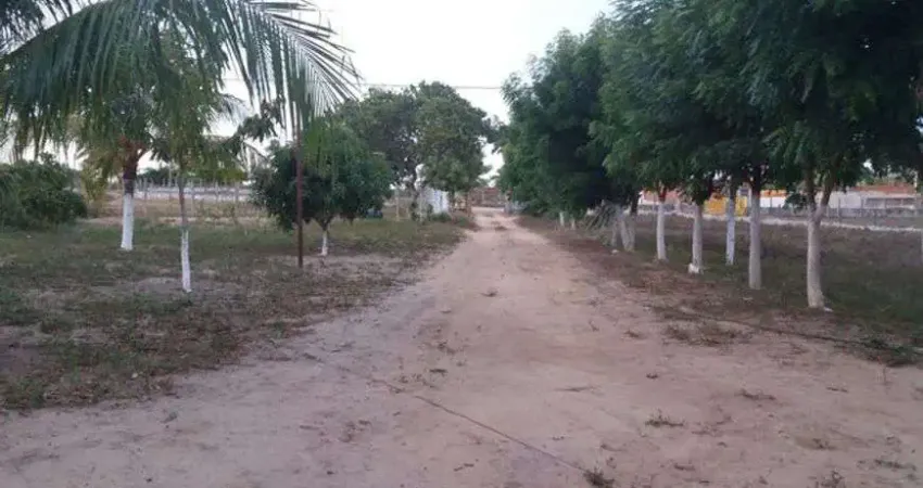 Linda Fazenda com 34 hectares em Mendes município de São José de Mipibu