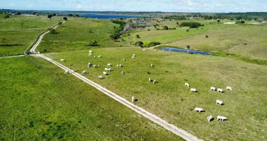 fazenda com 150 hectares entre Macaiba e vera cruz um Luxo de fazenda
