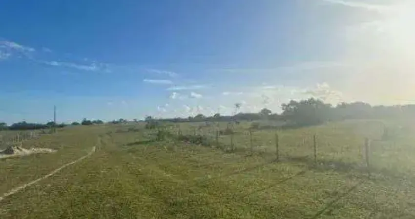 Chácara / sítio com 3 quartos à venda no Centro, Monte Alegre 