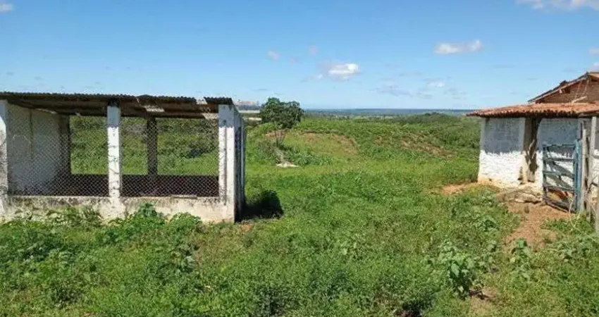 Excelente Granja com 6.6 hectares no arena excelente para criação e plantação