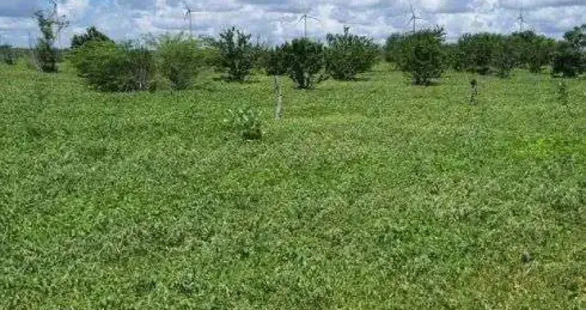 Chácara / sítio com 3 quartos à venda no Centro, Jandaíra 