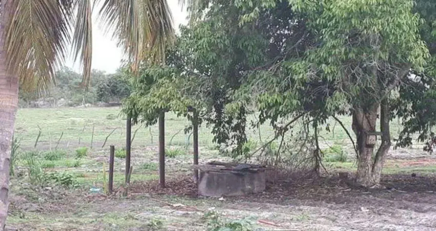 Excelente Fazenda com 27 hectares de porteira fechada em trairas