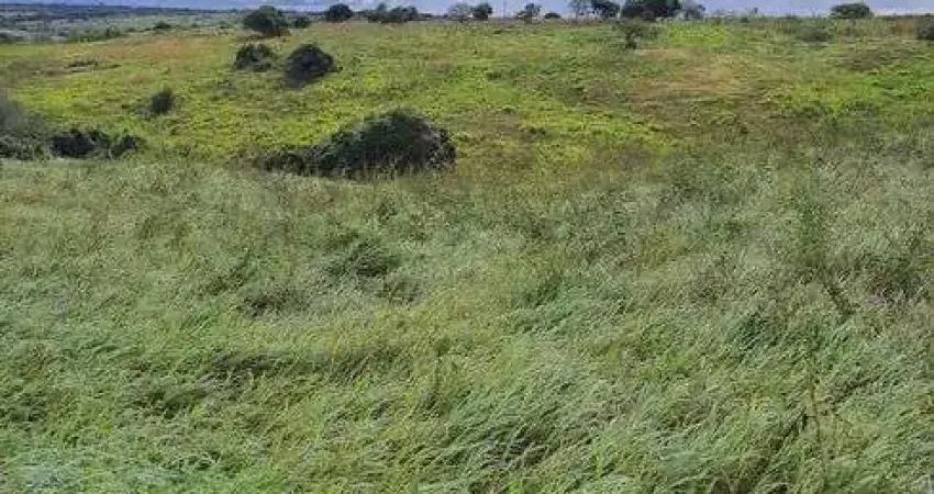 Excelente Fazenda na região de Monte Alegre com 20 hectares 100% plantada