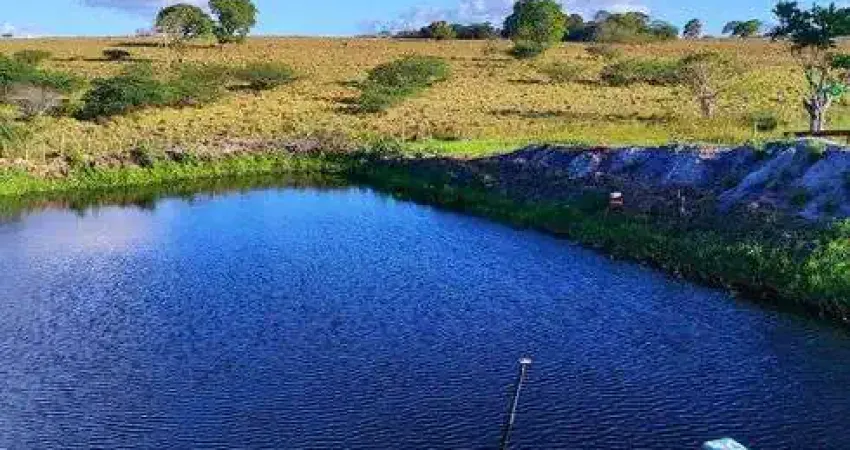 Fazenda com 2.6 hectares bem estruturada de porteira fechada