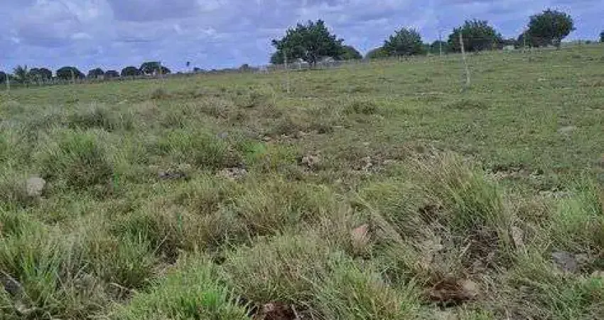 Excelente Fazenda com 27 hectares na região de Monte Alegre