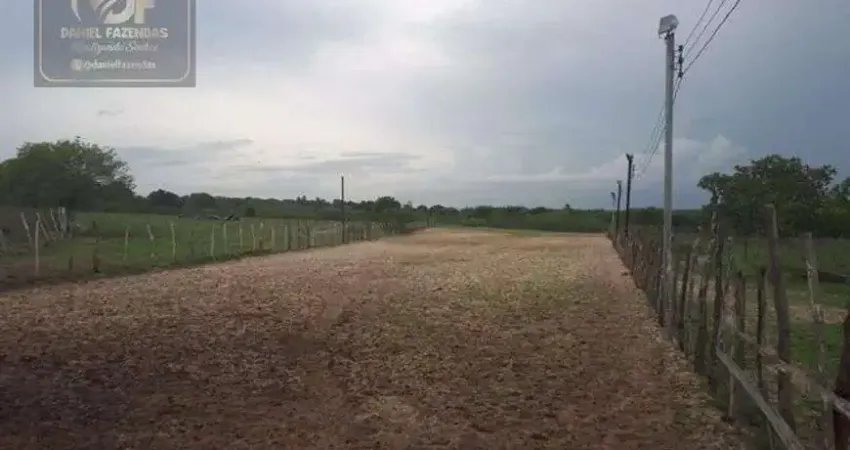 Fazenda com 27 hectares de porteira fechada em traíras