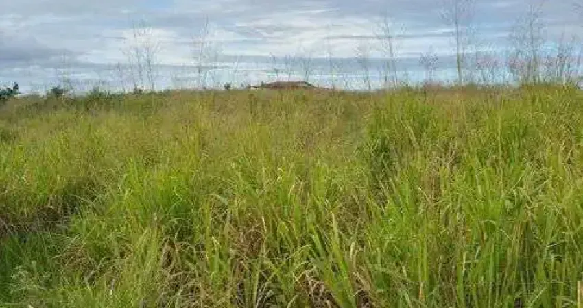 Chácara / sítio com 3 quartos à venda no Centro, Monte Alegre 