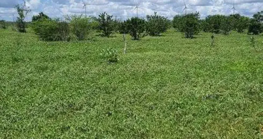 Fazenda com 45 hectares em jandaira com 2 poços tubulares 100% plana