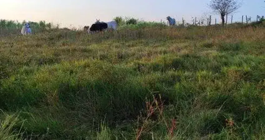 granja com 7 hectares na região de Monte Alegre para criação de gado plantação etc.