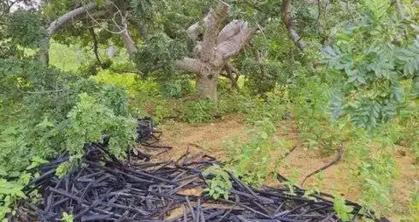 Fazenda com 45 hectares em jandaira com 2 poços tubulares 100% plana