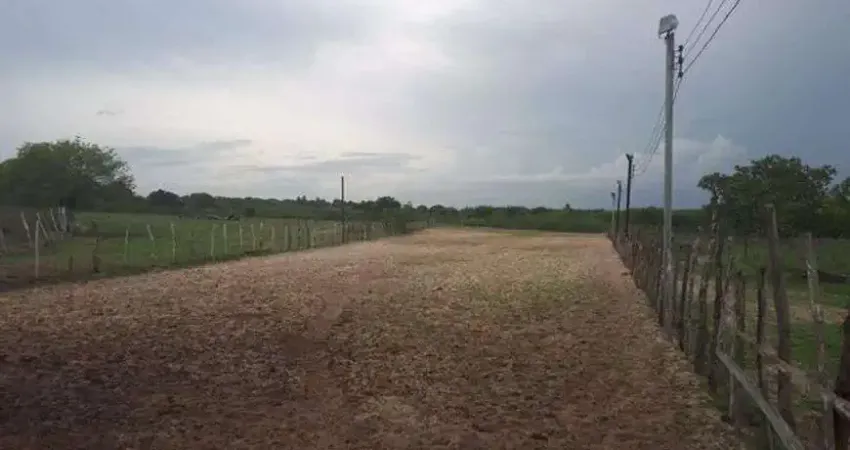Ótima Fazenda com 27 hectares de porteira fechada em traíras