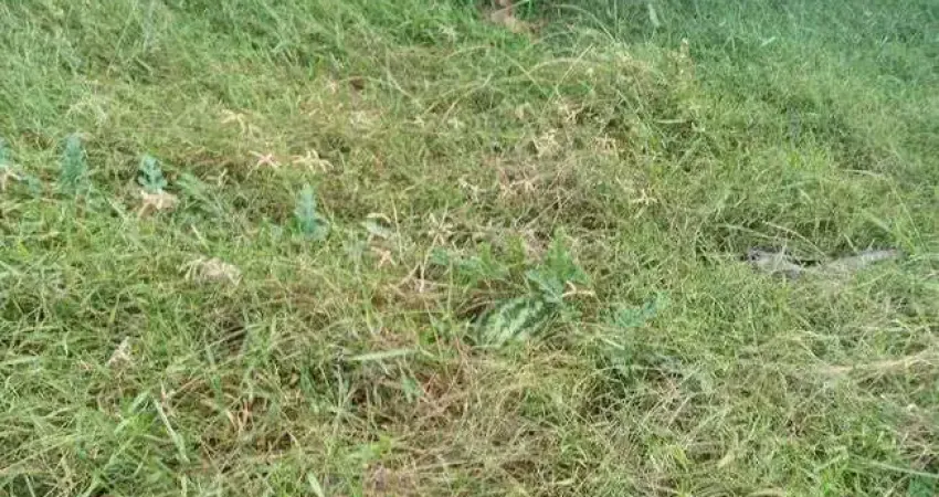 Excelente Granja com 7.5 hectares na região de Ceará Mirim