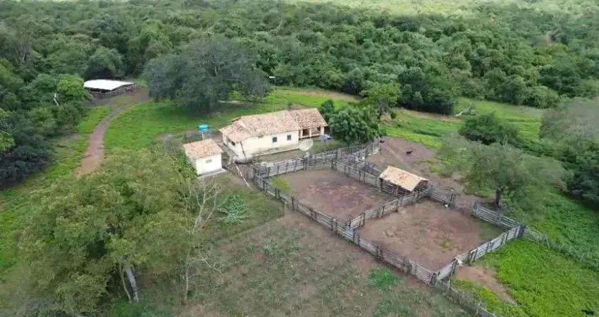 fazenda com 5 mil hectares no estado do Piauí são Miguel do tapuio