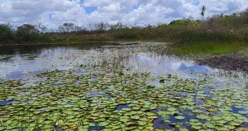 Fazenda/Sítio/Chácara para venda com 270.000 quadrados com 5 quartos