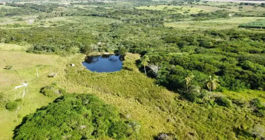 fazenda com 80.5 hectares no vale de Monte Alegre com uma excelente localização pronta para criação