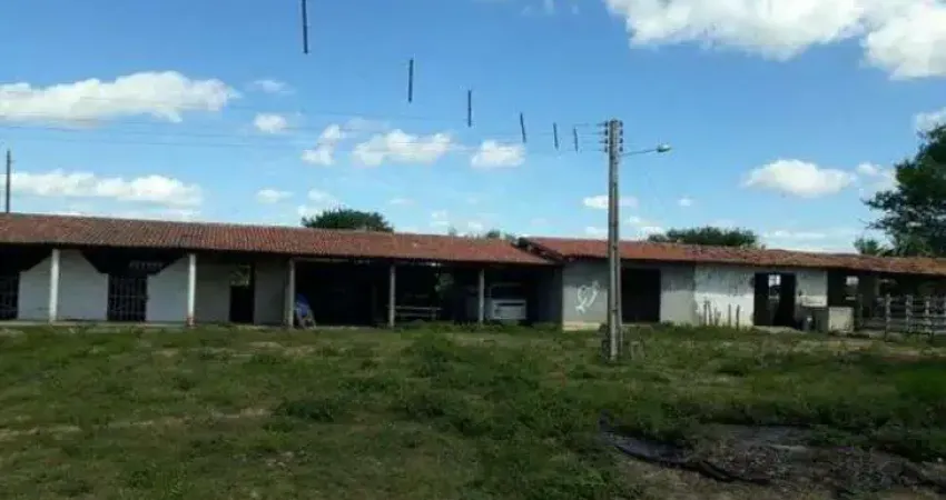 Fazenda na BR.304 próximo a santa maria 80 hectares