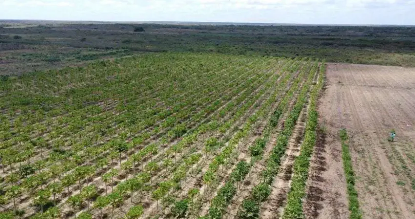 fazenda com 50 hectares na região de touros 100% desmatada e com 3 poço tubulares de alta vazão hs