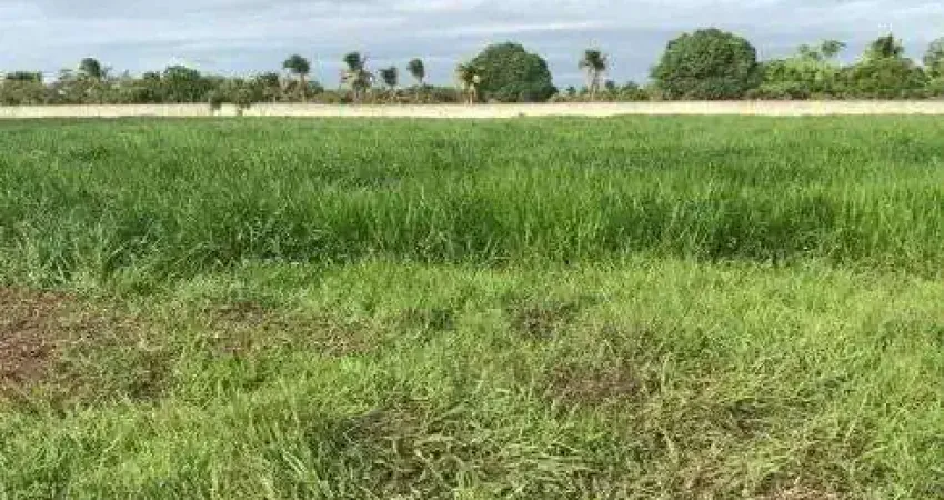 fazenda com 69 hectares na região de Ceará Mirim 100% plana bem localizada