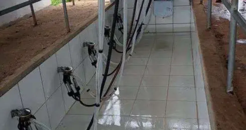Chácara / sítio com 3 quartos à venda no Centro, Monte Alegre 