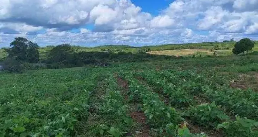 Fazenda/Sítio/Chácara para venda tem 11 hectares com 2 casas riacho escritura pública, rua calçada