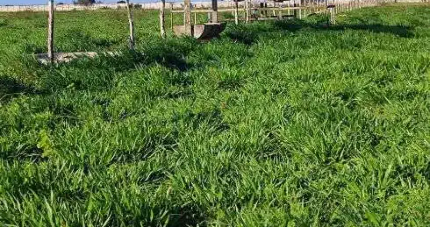 fazenda com 300 hectares na região de são José do Mipibu estruturada